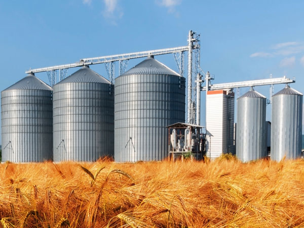 Silo Fumigation Services in Pune