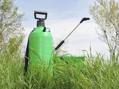 Weed Pest Control Services in Pune